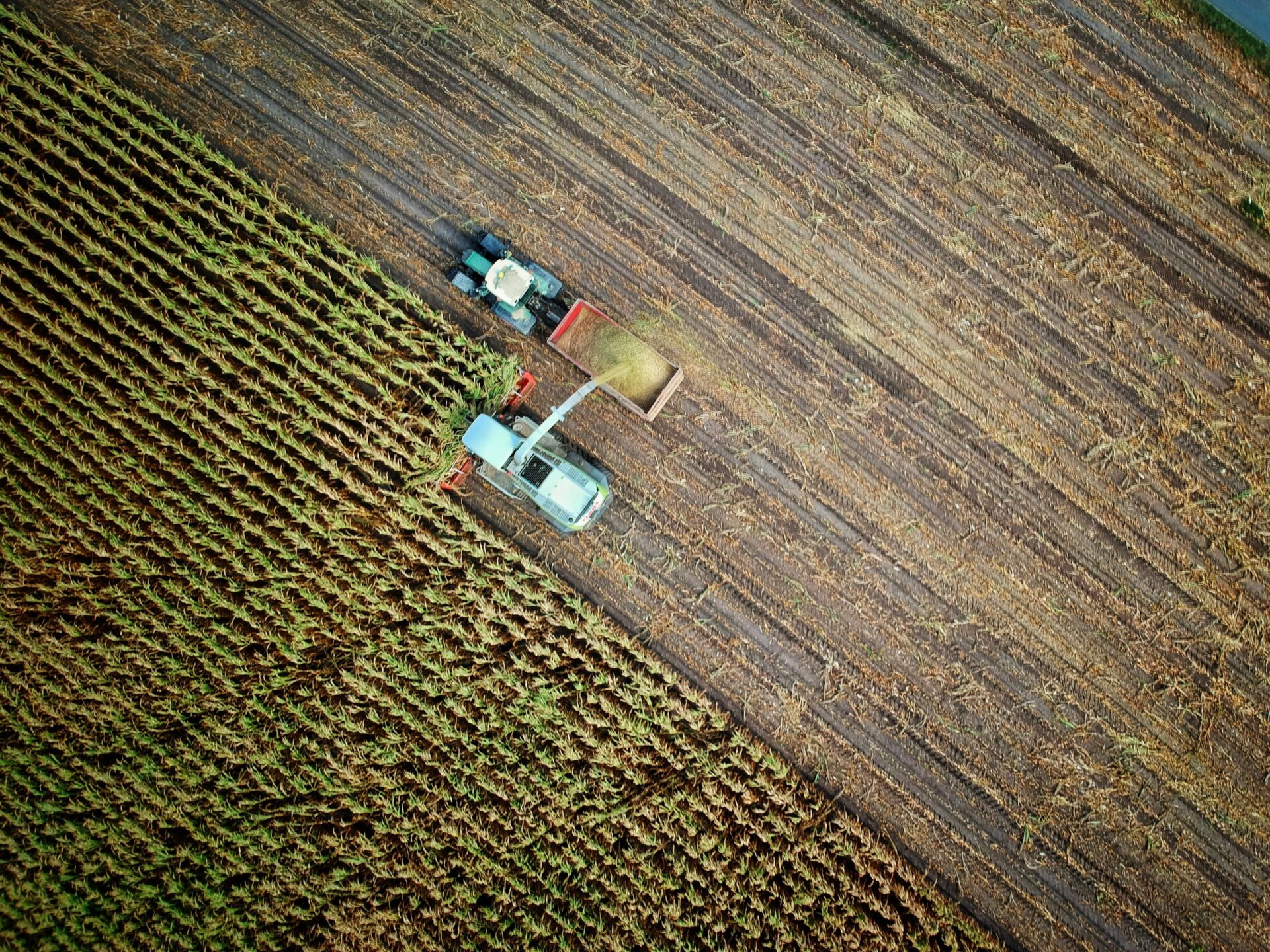 Zdjęcie wpisu: https://akademiaesg.pl/wp-content/uploads/2025/07/no-one-cares-l_5MJnbrmrs-unsplash.jpg