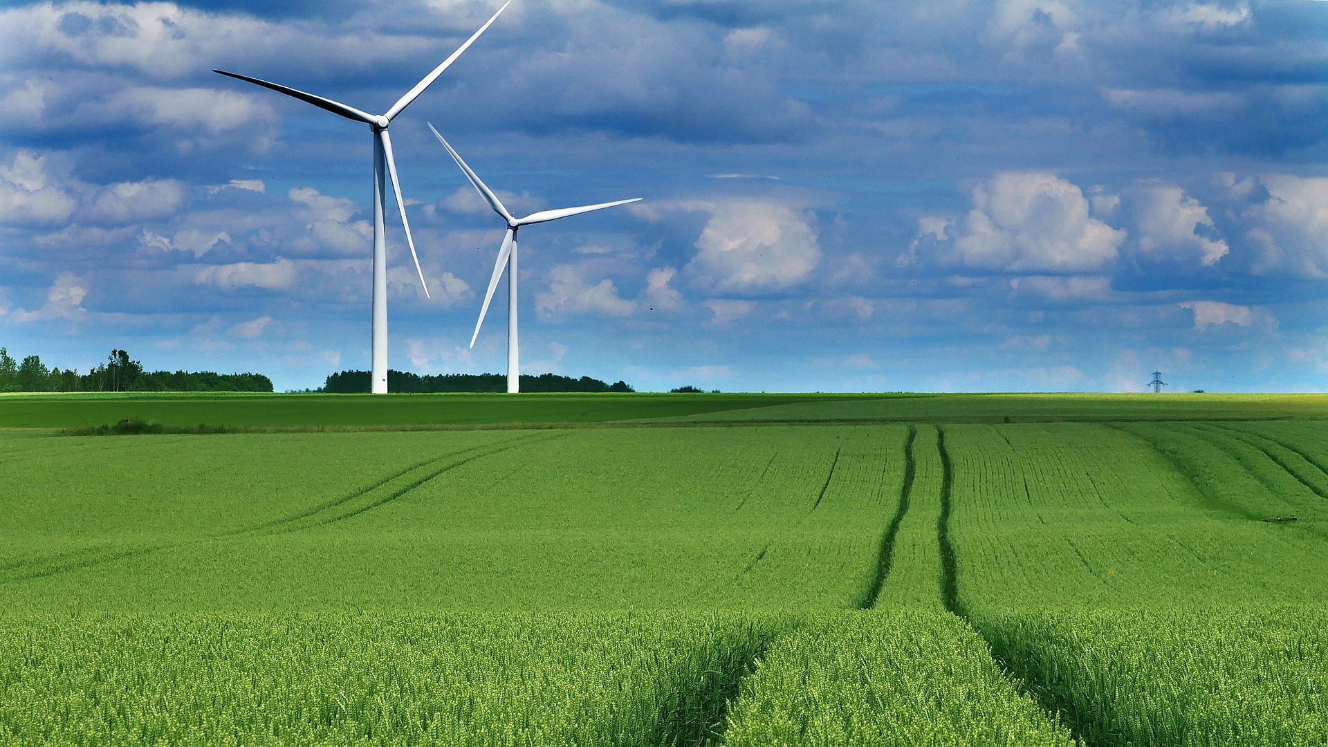 Zdjęcie wyróżniające wpisu: Polska zmierza po zieloną energię. Krajowy Plan na rzecz Energii i Klimatu trafia pod rządowe obrady