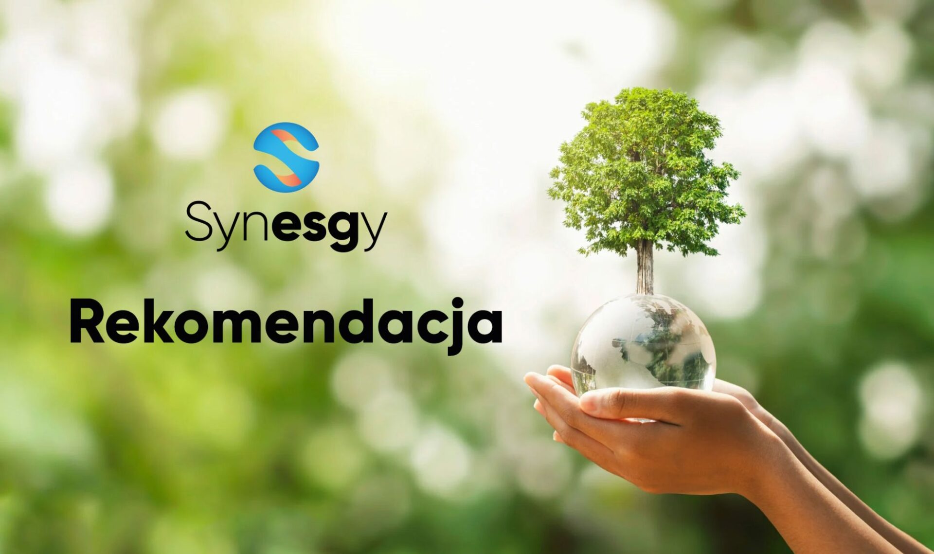 Zdjęcie wpisu: https://akademiaesg.pl/wp-content/uploads/2025/08/Synesgy-Akademia-ESG.jpg