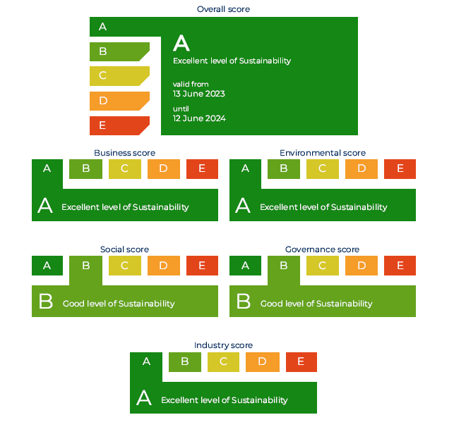 Synesgy score