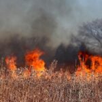 Zdjęcie wpisu: https://akademiaesg.pl/wp-content/uploads/2025/08/firefighter-5799151_1920.jpg