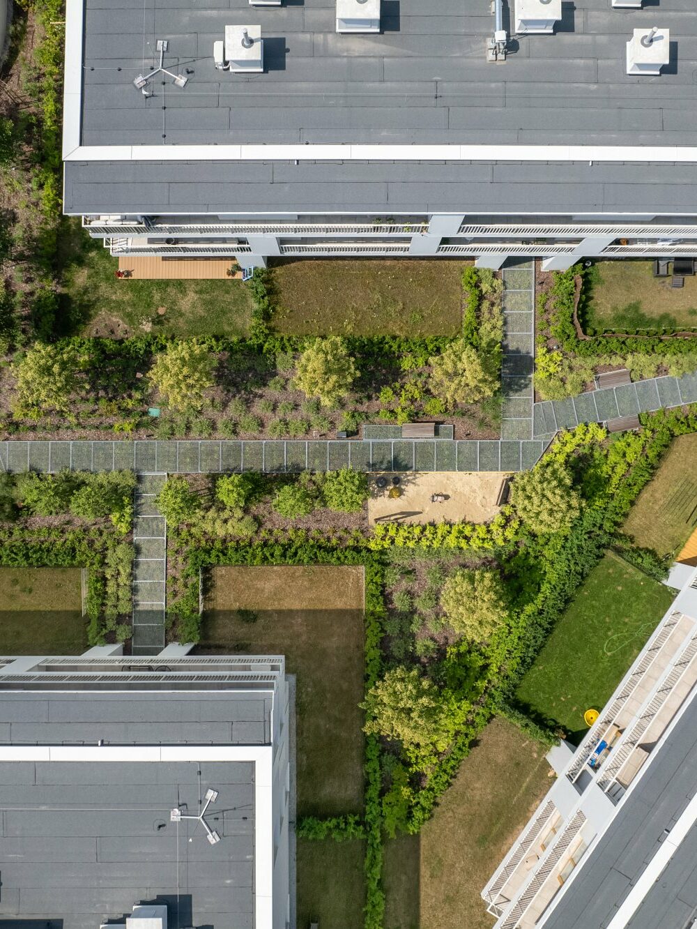 Zdjęcie wyróżniające wpisu: Zielony standard dla miast. Warszawa promuje zrównoważone budownictwo